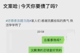 宜阳为什么选择专业追讨公司来处理您的债务纠纷？